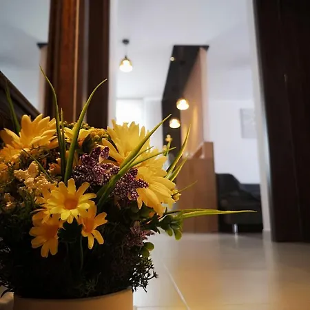 Apartament Alexandra View