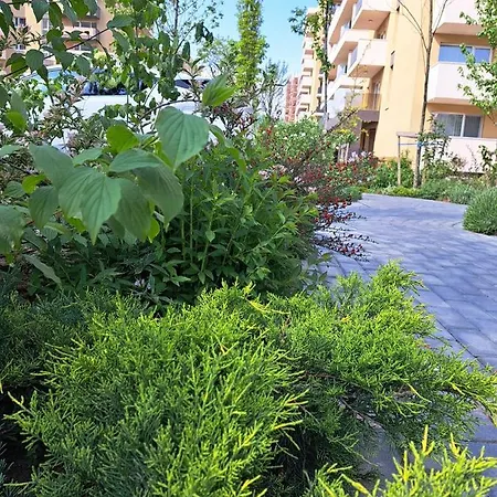 Alexandra View Brașov