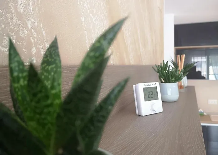 Апартаменти Alexandra View *