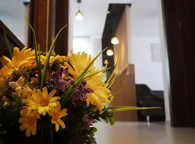 Апартаменти Alexandra View