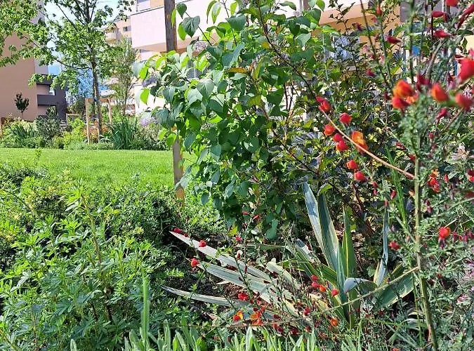 Alexandra View Апартаменти