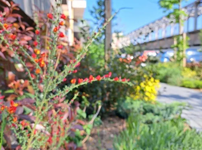 Alexandra View Апартаменти Брашов