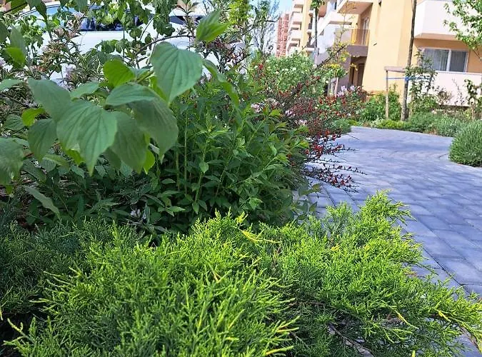 Alexandra View Брашов